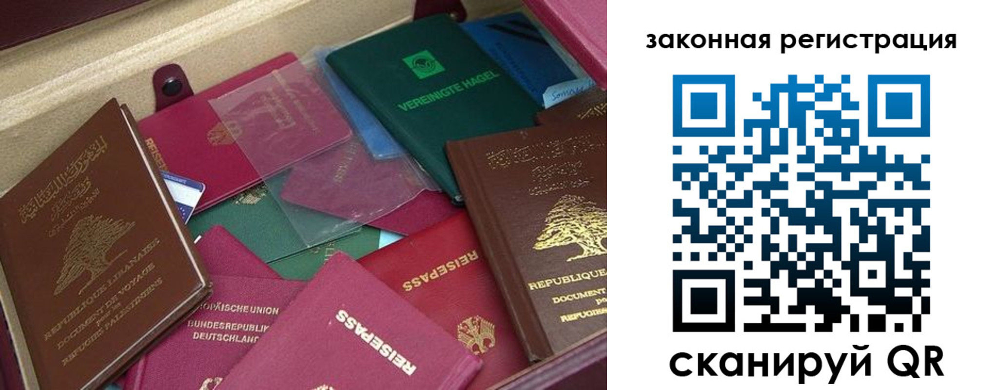 купить прописку в Цимлянске